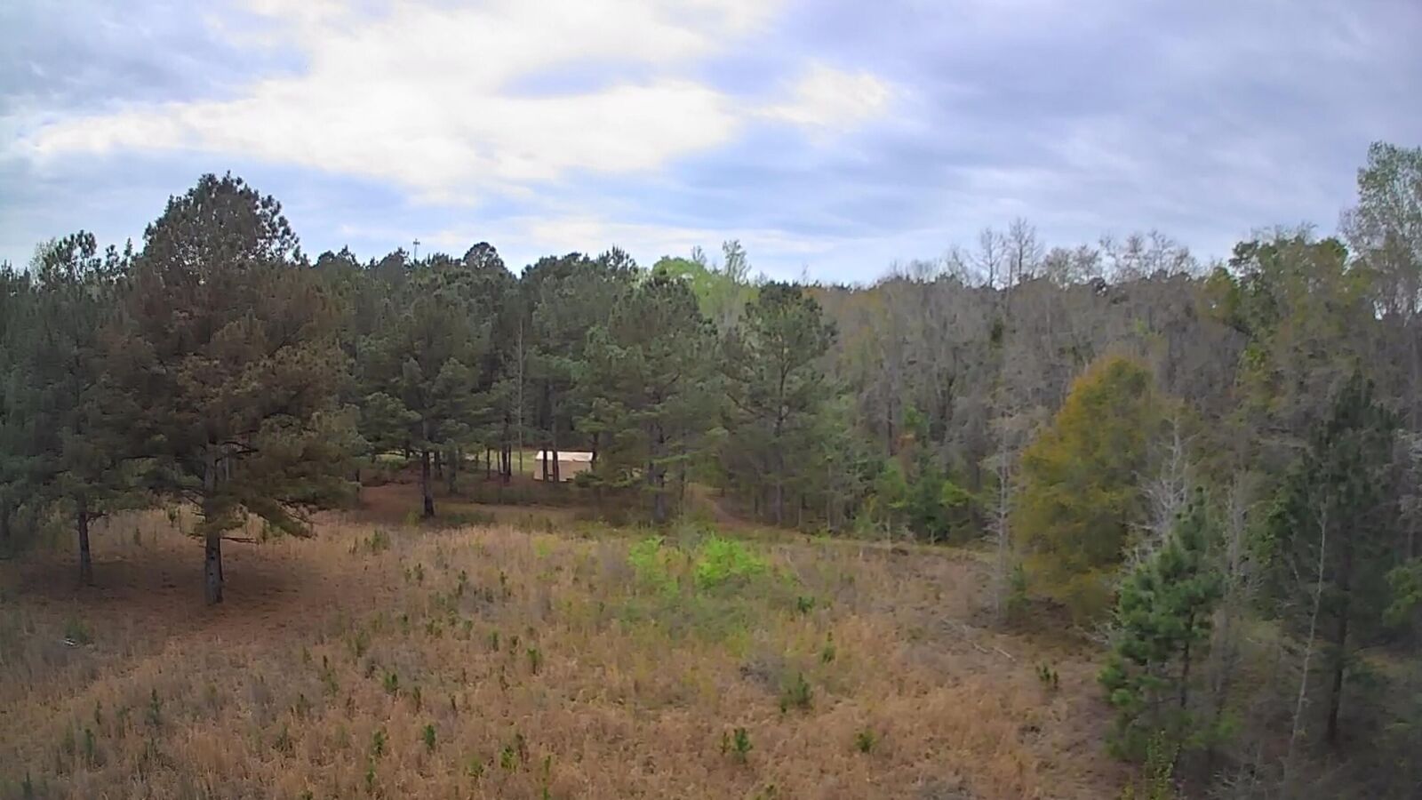 Property Photo:  Tbd Salcro Lane Interior Parcel Highway  SC 29481 