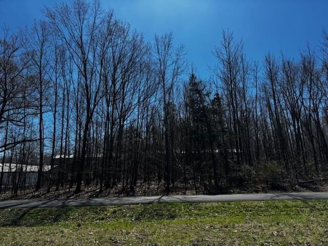 Property Photo: 5 And 6 Lbl Gateway KY 42211