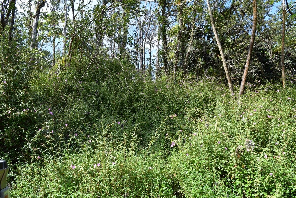 Property Photo:  14-3537 Kauai Rd  HI 96778 