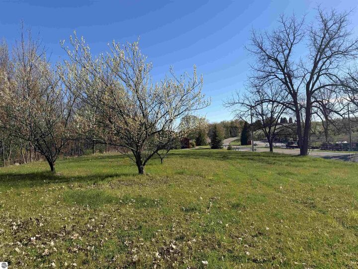 Property Photo:  0 Center Road  MI 49686 