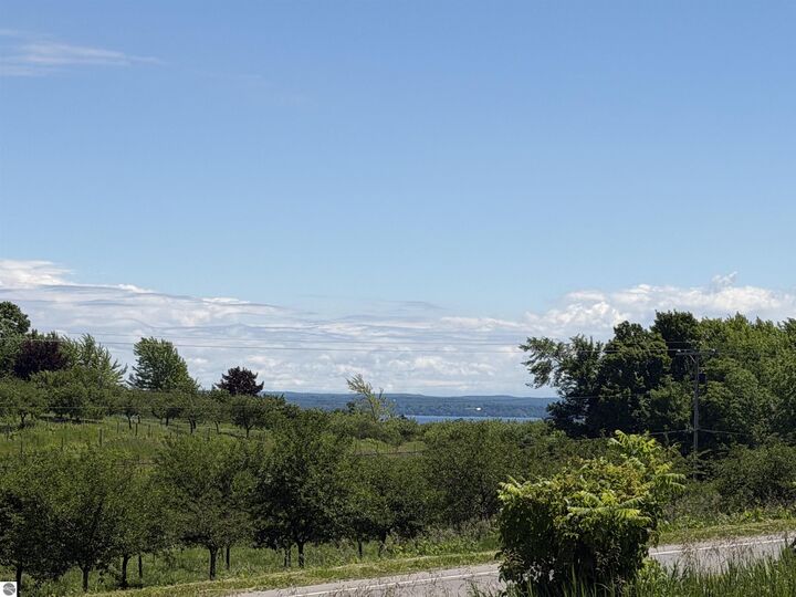 Property Photo:  0 Center Road  MI 49686 