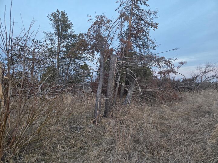 Property Photo:  Tbd Lot 5 Beartooth Avenue SW  MN 56601 