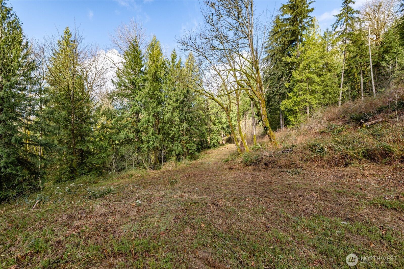 Property Photo:  29631  124th Avenue NE  WA 98223 