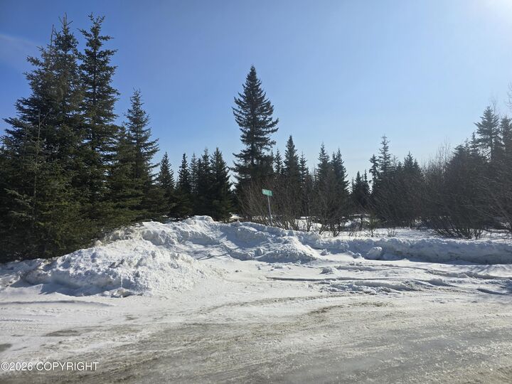 Property Photo:  L2 Sunshine Drive  AK 99556 