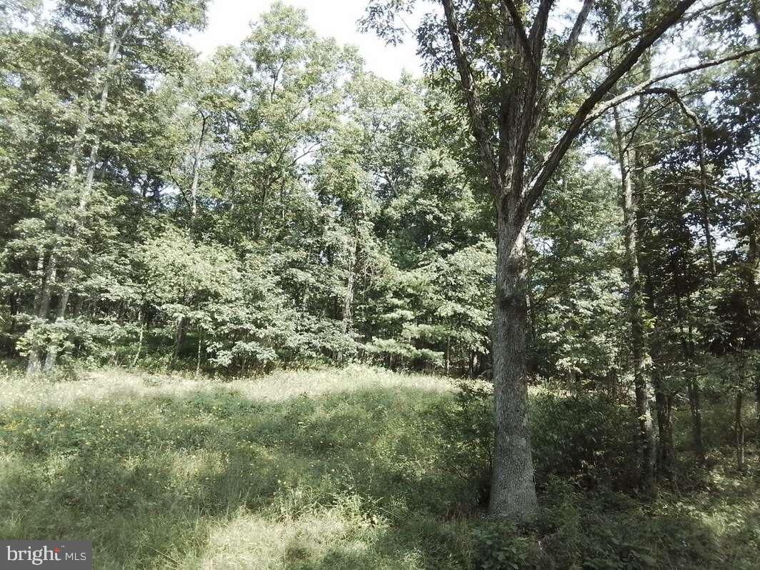 Property Photo:  11731-11737 Town Creek Road NE  MD 21530 