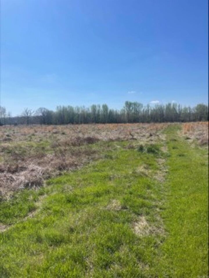 Property Photo:  000 Holland Road  AR 72176 