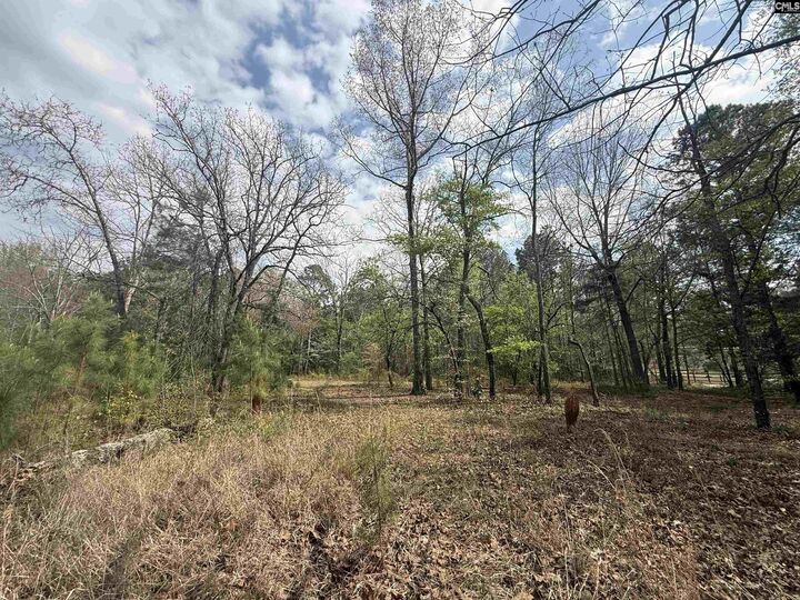 Property Photo: 129 Treemount SC 29053