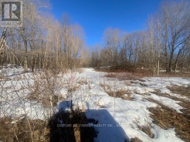 Property Photo: 00 Lot 1 County Rd 10 Road ON K0G 1X0