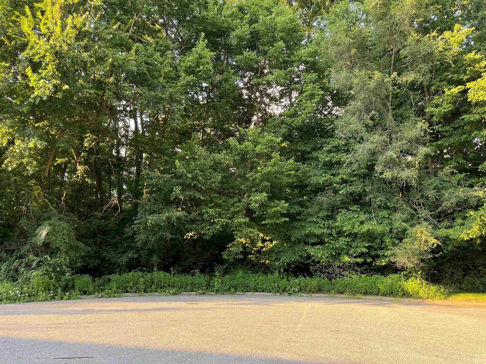 Property Photo:  Lot 34 Auburn Estates  IN 46516 