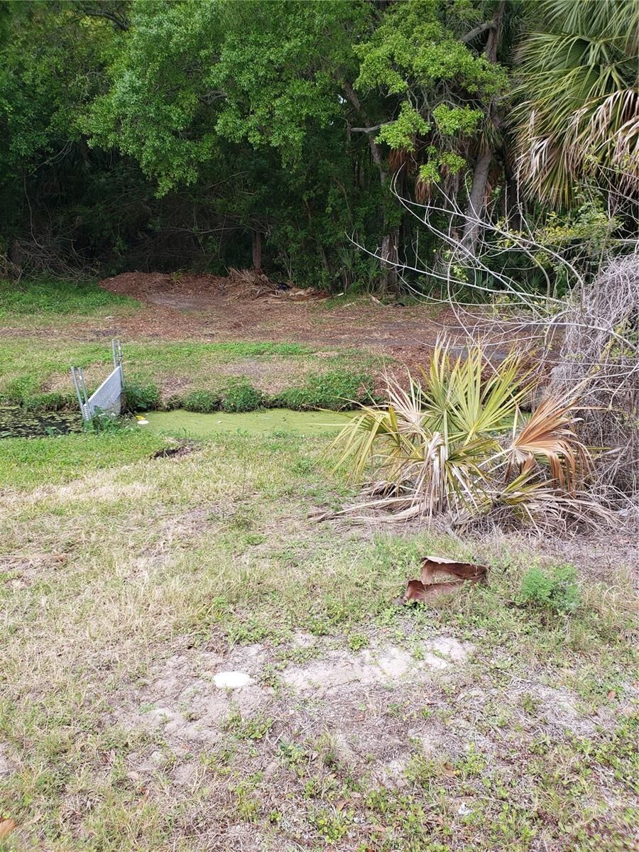 Property Photo:  Grosse Avenue  FL 34689 