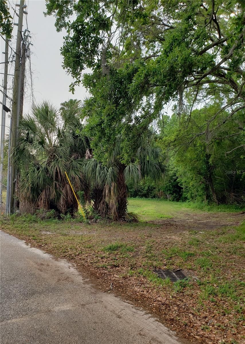Property Photo: Grosse Avenue FL 34689