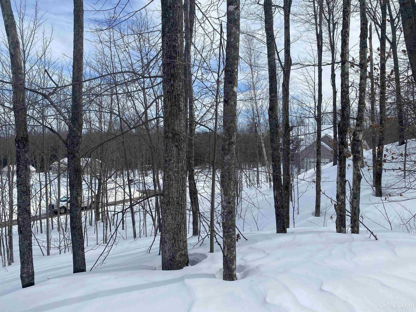 Property Photo:  Tbd Lot 29 S Whealkate Drive  MI 49963 