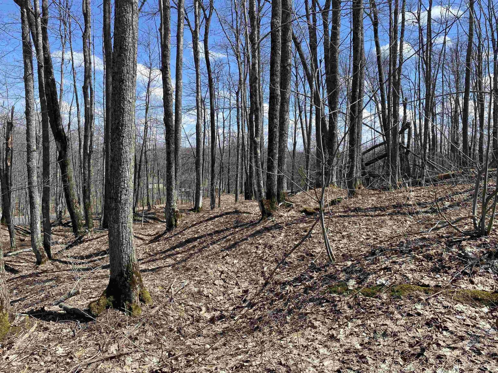 Property Photo:  Tbd Lot 29 S Whealkate Drive  MI 49963 