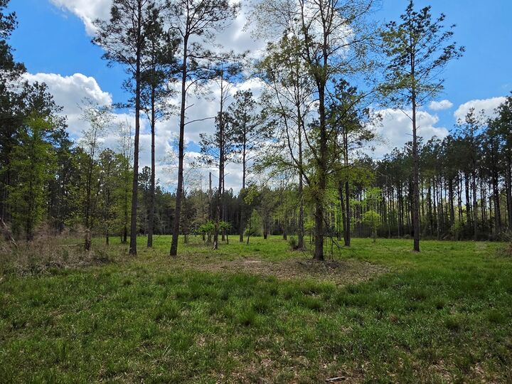 Property Photo:  R241398 Kelley  TX 77531 