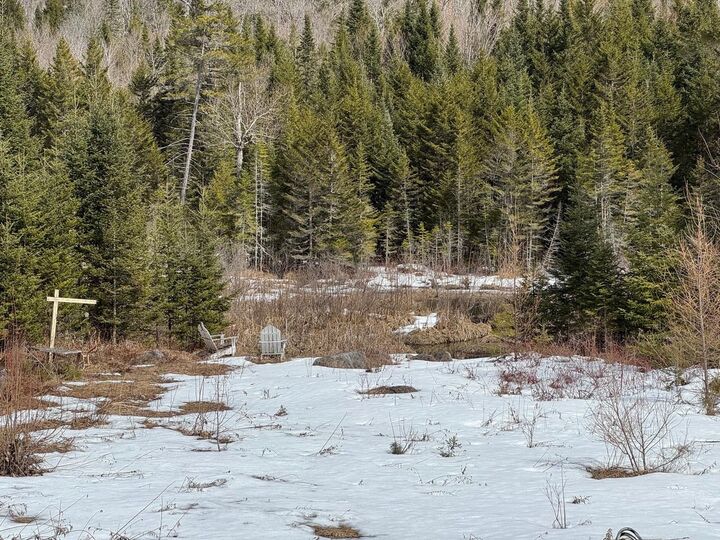 Property Photo: 1656 Williamstown Road VT 05675