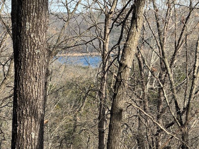 Property Photo:  190 Edgewater Drive  AR 72631 