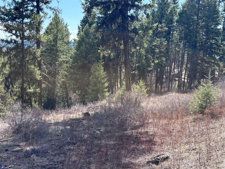 Property Photo: Lot 4 Hulme Creek Road BC V0H 1Y0