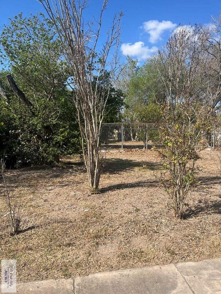 Property Photo:  -- Calle Reyna  TX 78520 