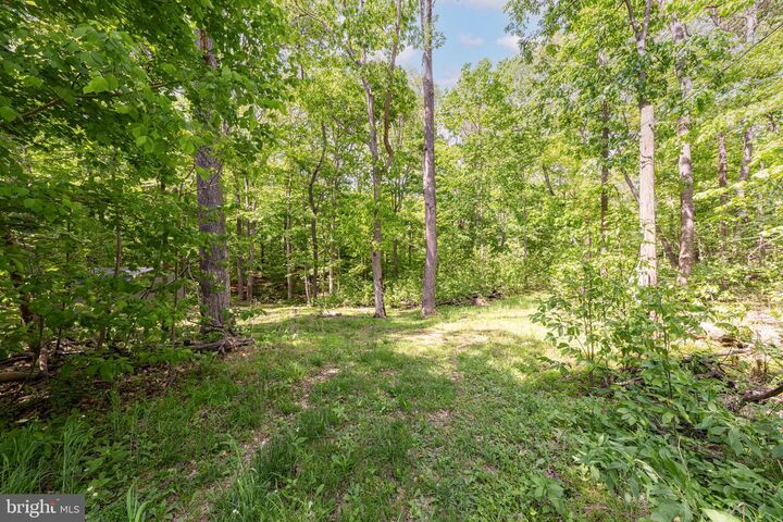 Property Photo: 2900 Calmes Neck Lane Lane VA 22620