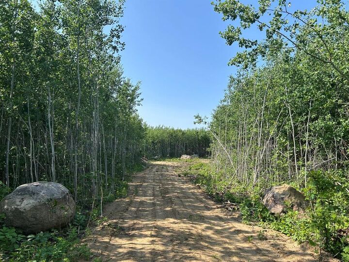 Property Photo:  4 Ironwood Point Road  MB R0E 2A0 