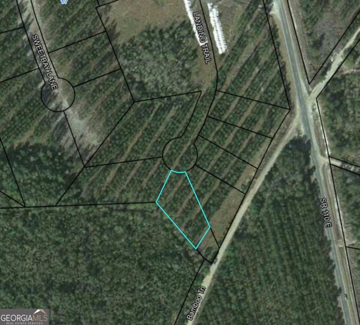 Property Photo:  Lot 33 Landing Trail  GA 31566 
