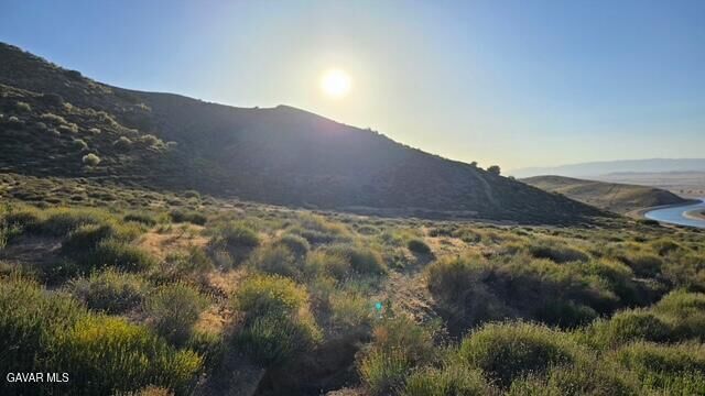 Property Photo:  Vic Avenue M &Amp 91 St West  CA 93551 