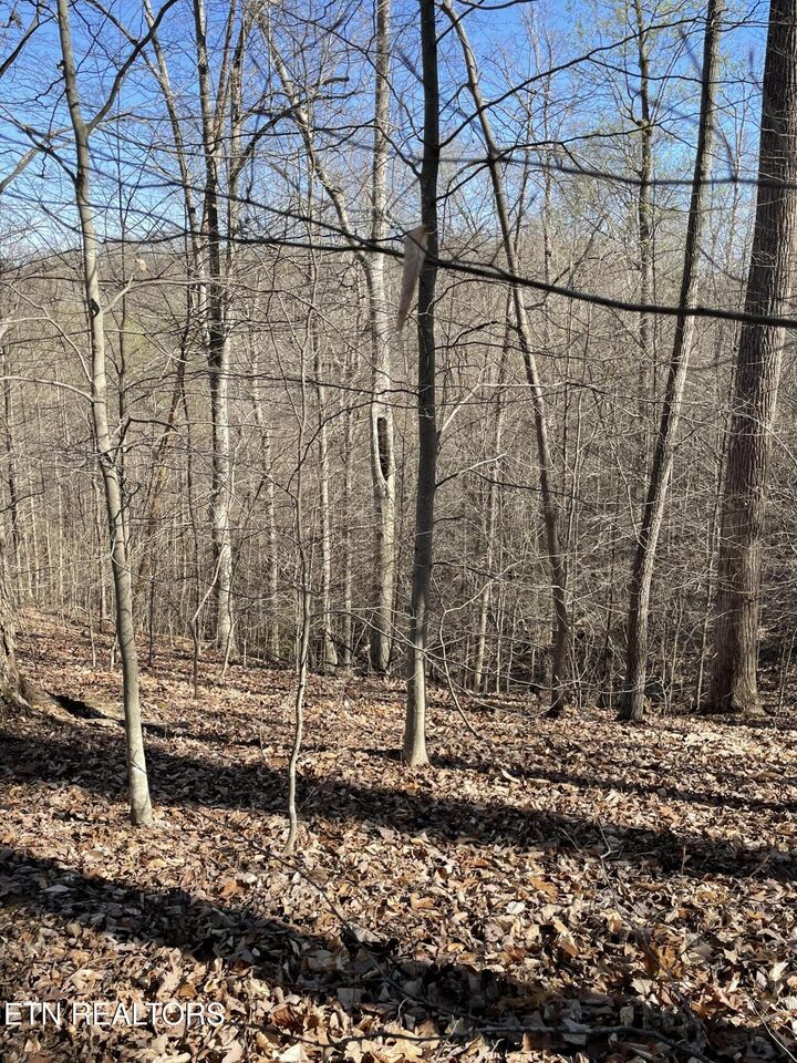 Property Photo:  N Center Ridge Place  TN 37890 