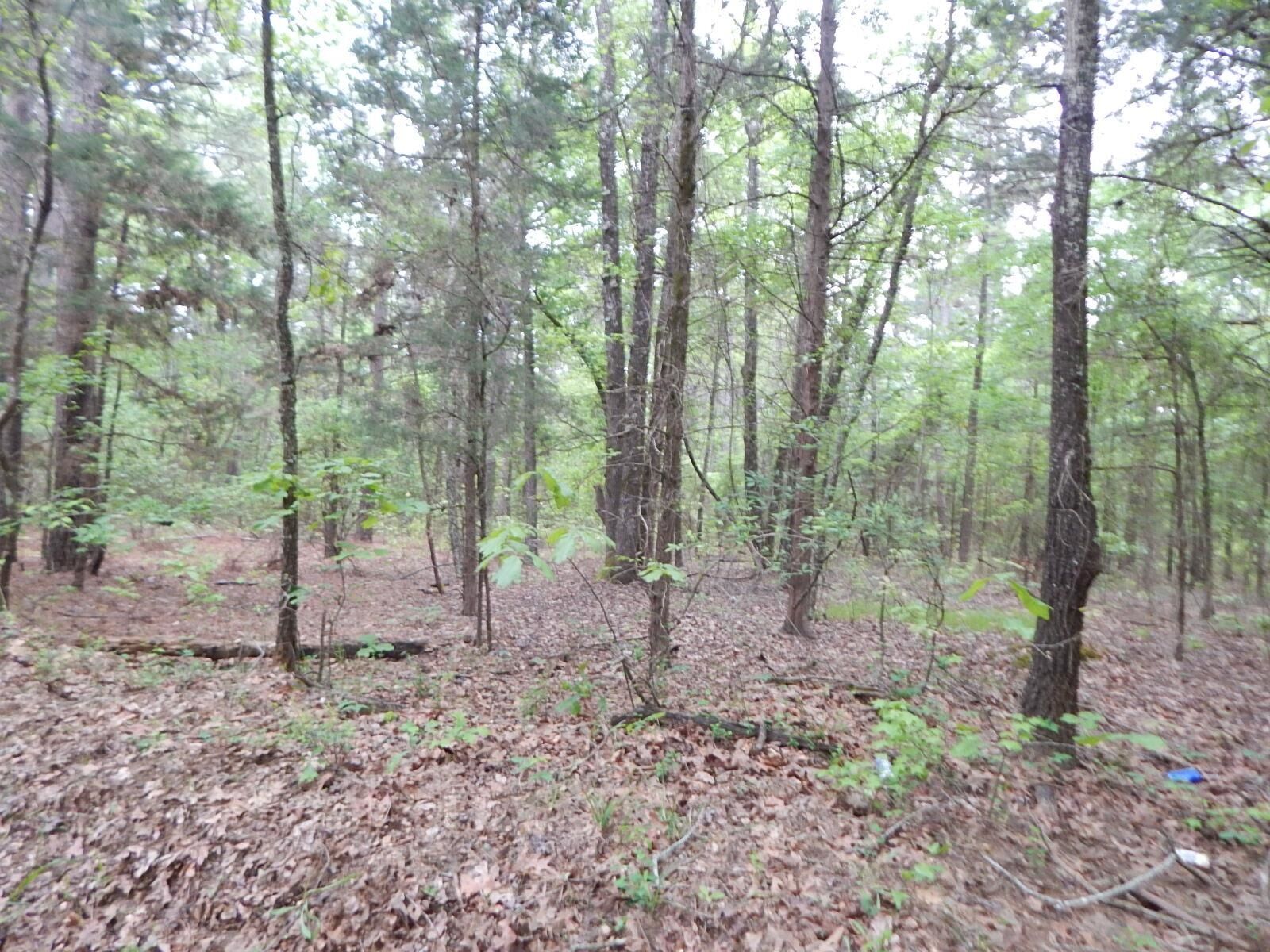 Property Photo:  Tbd Lot 39 Winterberry Rd.  TX 75755 