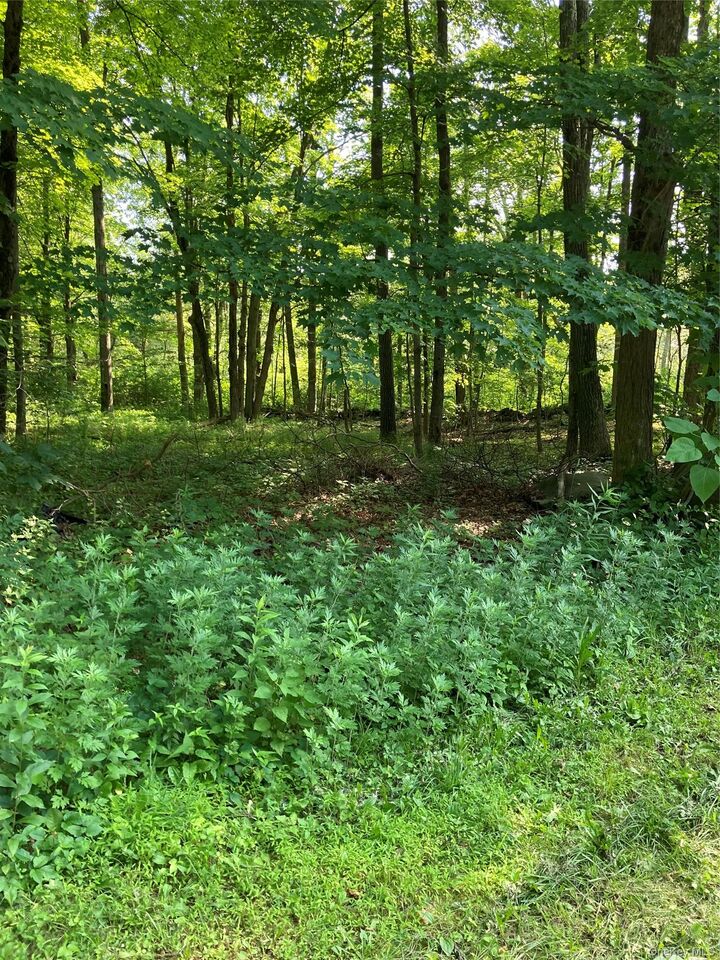 Property Photo: 15 Adam Wagner Lane NY 10541