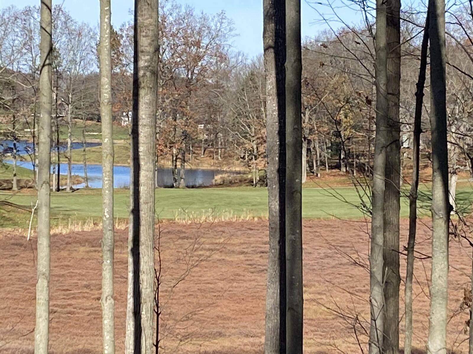 Property Photo:  8975 Whispering Lane  MI 49346 