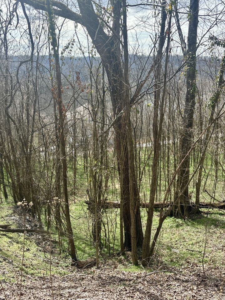 Property Photo:  323 Seaton Dr  TN 37166 