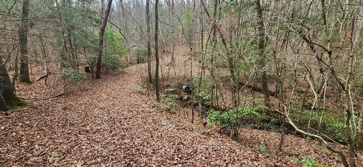 Property Photo:  Lot 18 Gray Fox Trail  GA 30512 