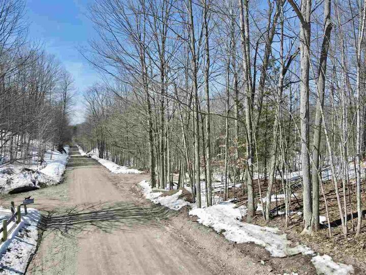 Property Photo:  Tbd Pesek  MI 49727 