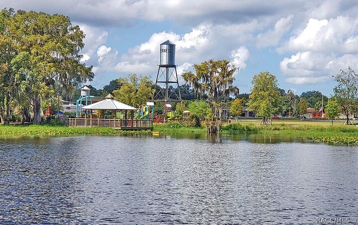 Property Photo:  2907 Clearwood Street  FL 34452 