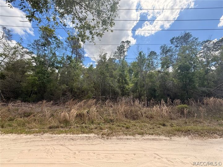 Property Photo: 2907 Clearwood Street FL 34452