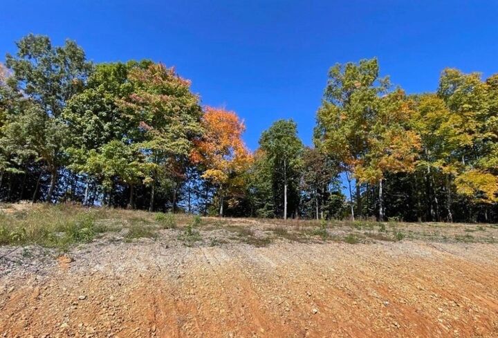 Property Photo:  Tract 4 State Park Road  KY 42717 