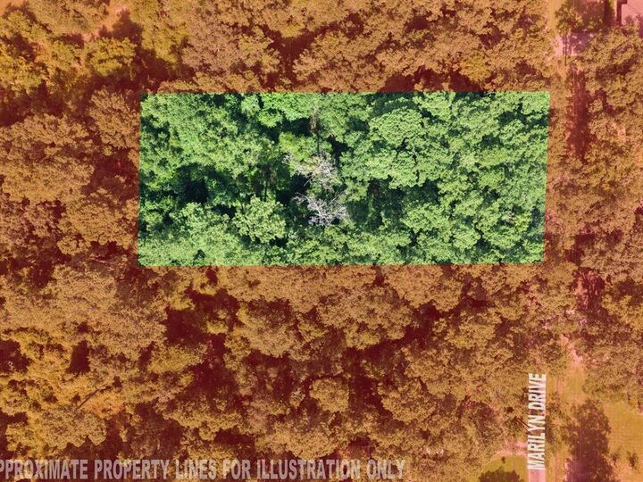 Property Photo:  133 Marilyn Street  TX 77657 