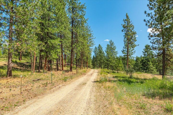 Property Photo:  786X Arden Butte Rd  WA 99114 
