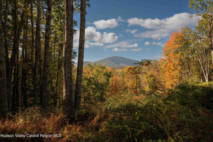 Property Photo: 363 Beaverkill NY 12461