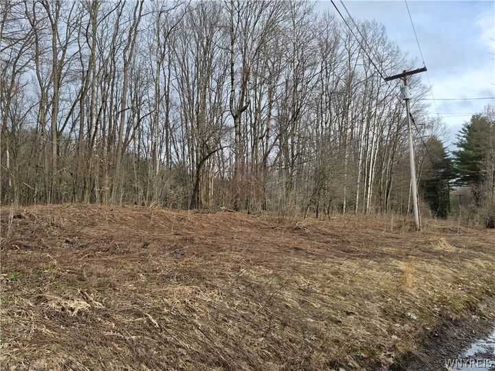 Property Photo: 0 Haines Hollow Road NY 14741