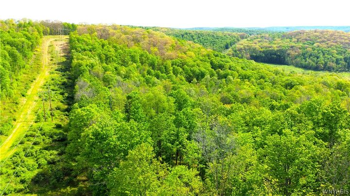 Property Photo:  0 Haines Hollow Road  NY 14741 