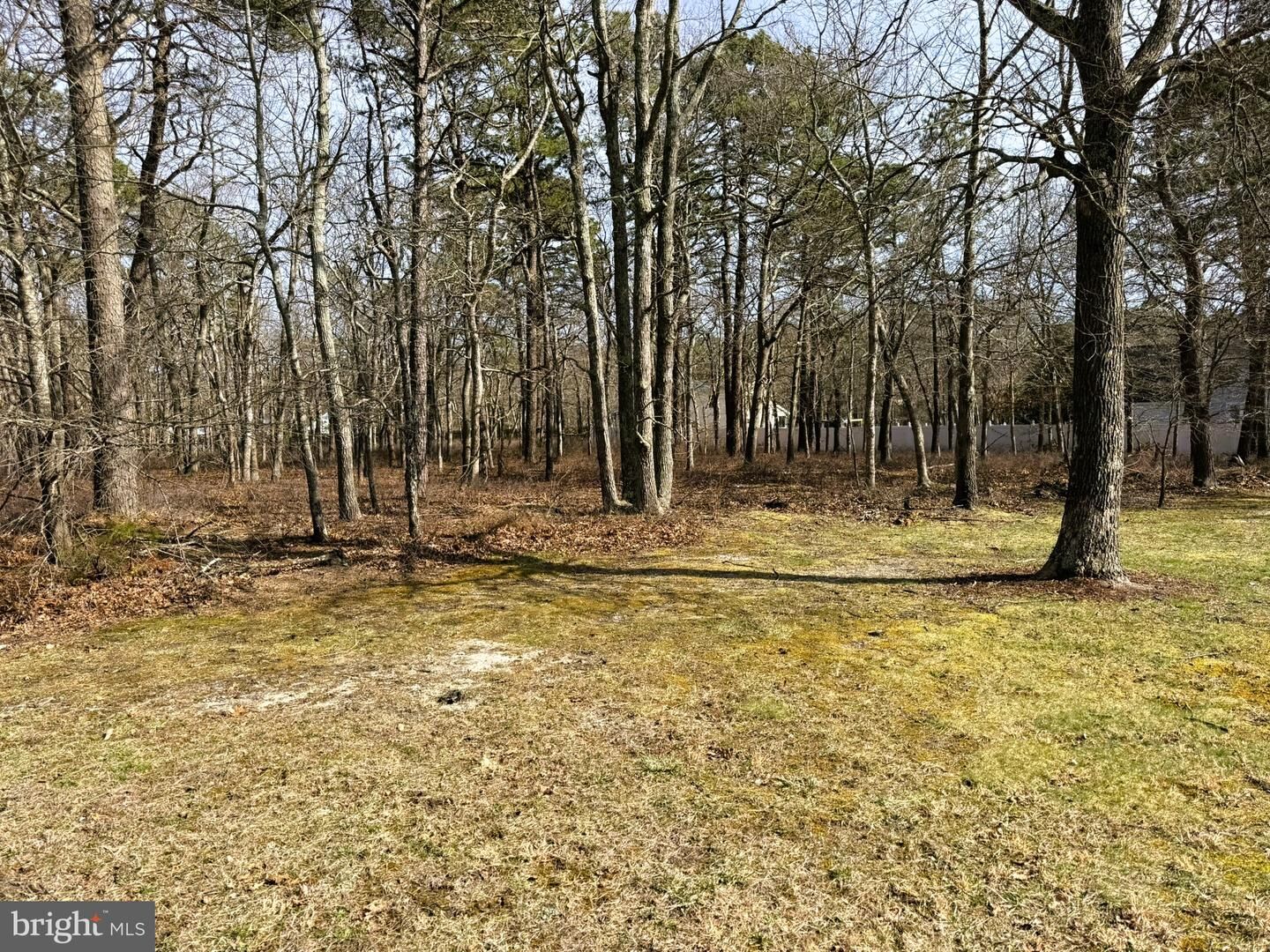 Property Photo:  16 Pinewood Drive  NJ 08087 