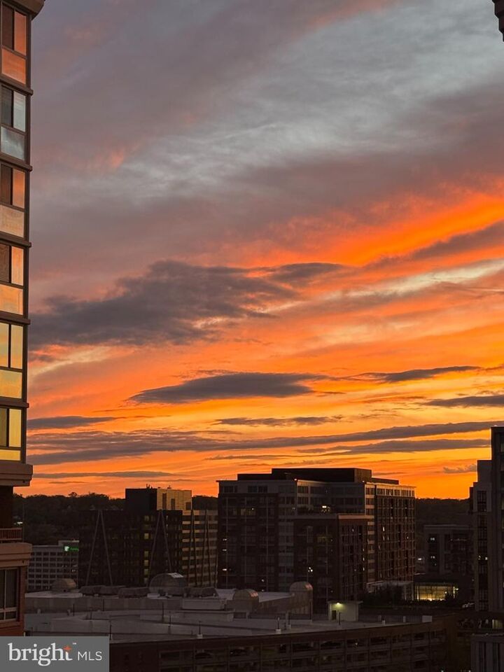 Property Photo: 2121 Jamieson Avenue 1506 VA 22314