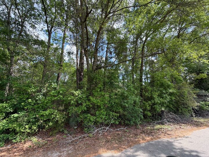 Property Photo: 0 W Depot St GA 31783