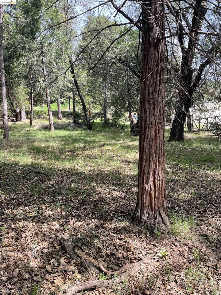 Property Photo:  16594 Creekside Dr  CA 95370 