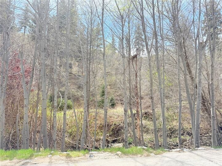 Property Photo: 29949 Hook Creek CA 92321