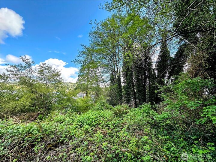 Property Photo:  816  Terrace Avenue  WA 98520 