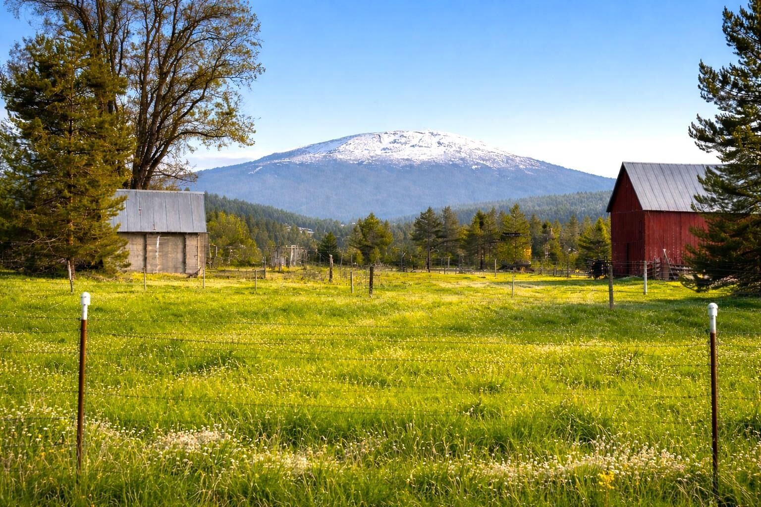 Property Photo:  46xx Bittrich-Antler Rd  WA 99006 