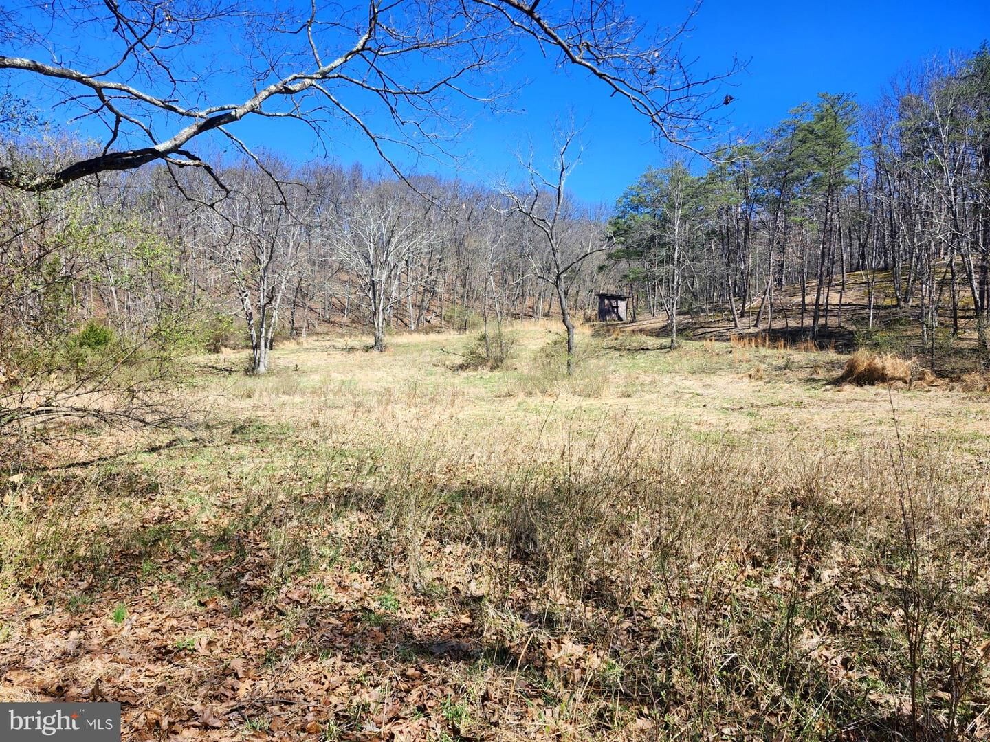 Property Photo:  A.j. Kelley Rd  WV 26852 