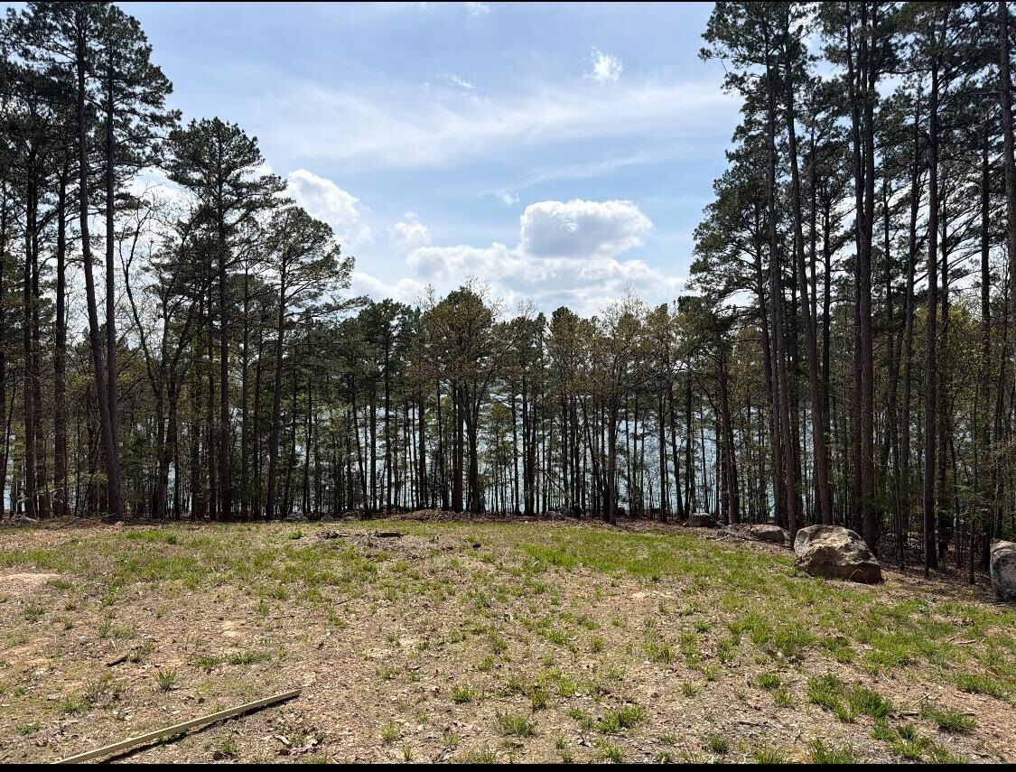 Property Photo:  510 Island Shores Drive  AR 72530 